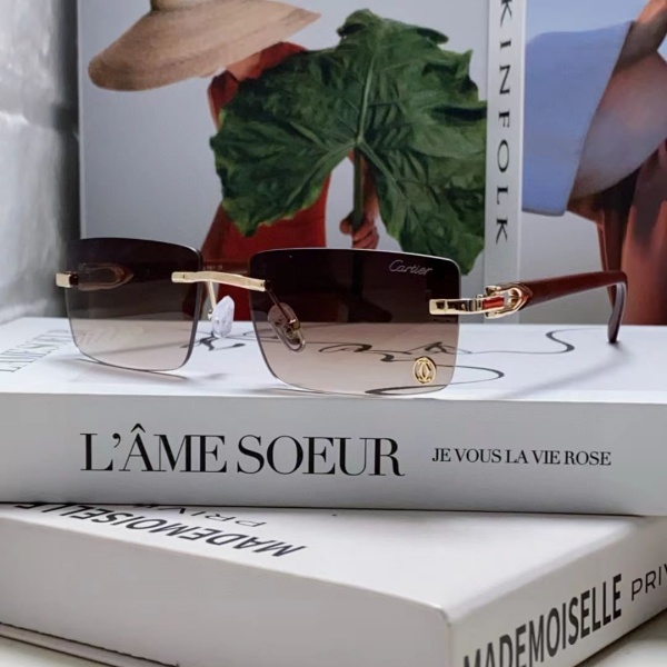  CARTIER  Fashion sunglasses  까르디에  선글라스